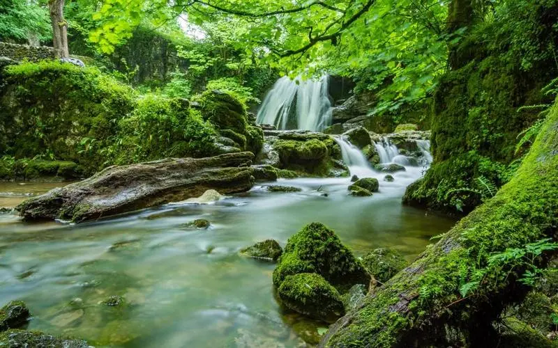 高端科技全自动
